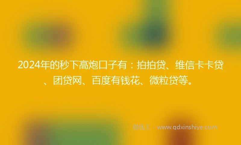 2024年的秒下高炮口子有：拍拍贷、维信卡卡贷、团贷网、百度有钱花、微粒贷等。