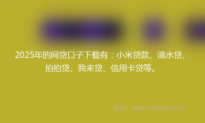 2025年的网贷口子下载有：小米贷款、滴水贷、拍拍贷、我来贷、信用卡贷等。