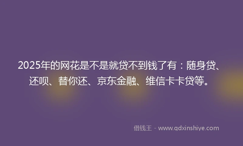 2025年的网花是不是就贷不到钱了有：随身贷、还呗、替你还、京东金融、维信卡卡贷等。