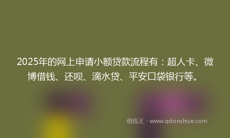 2025年的网上申请小额贷款流程有：超人卡、微博借钱、还呗、滴水贷、平安口袋银行等。