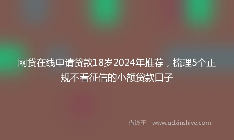 网贷在线申请贷款18岁2024年推荐，梳理5个正规不看征信的小额贷款口子