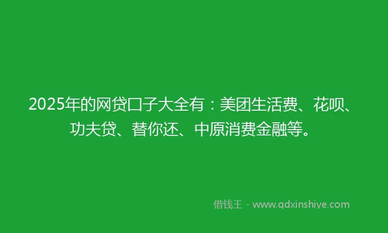 2025年的网贷囗子大全有：美团生活费、花呗、功夫贷、替你还、中原消费金融等。