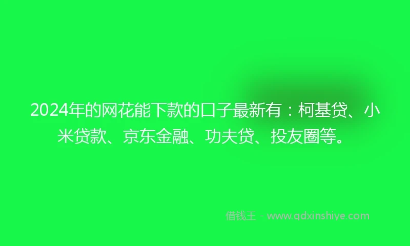 2024年的网花能下款的口子最新有：柯基贷、小米贷款、京东金融、功夫贷、投友圈等。