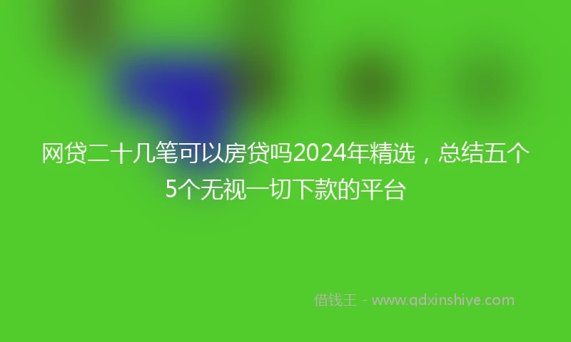 网贷二十几笔可以房贷吗2024年精选，总结五个5个无视一切下款的平台