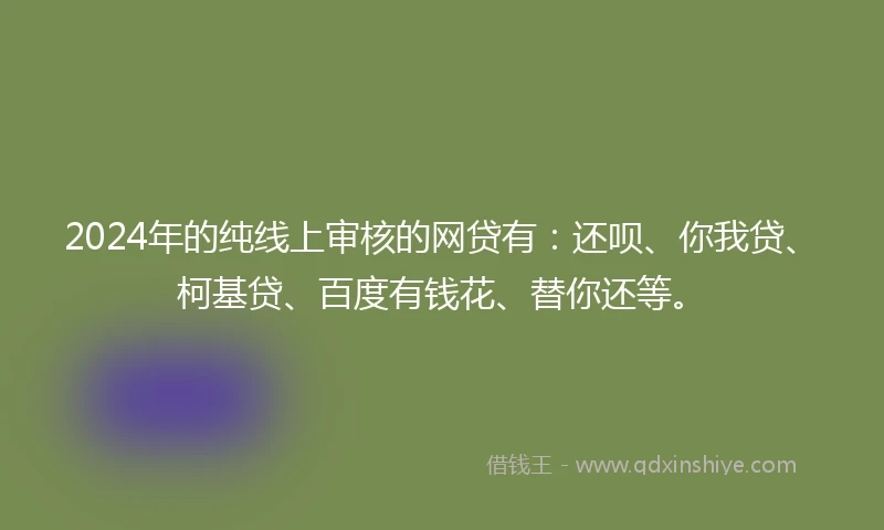 2024年的纯线上审核的网贷有：还呗、你我贷、柯基贷、百度有钱花、替你还等。