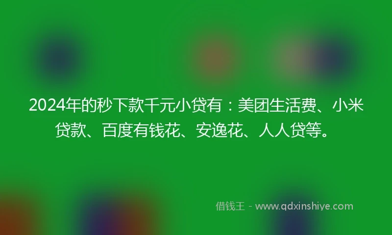 2024年的秒下款千元小贷有：美团生活费、小米贷款、百度有钱花、安逸花、人人贷等。