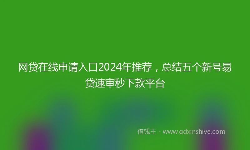 网贷在线申请入口2024年推荐，总结五个新号易贷速审秒下款平台