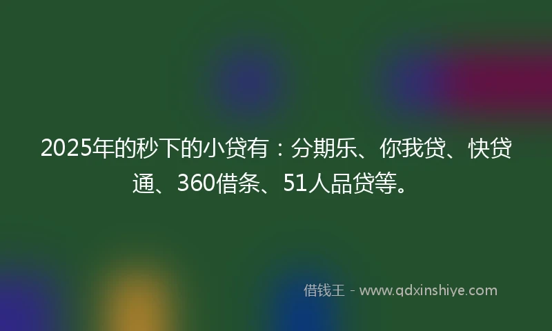 2025年的秒下的小贷有：分期乐、你我贷、快贷通、360借条、51人品贷等。