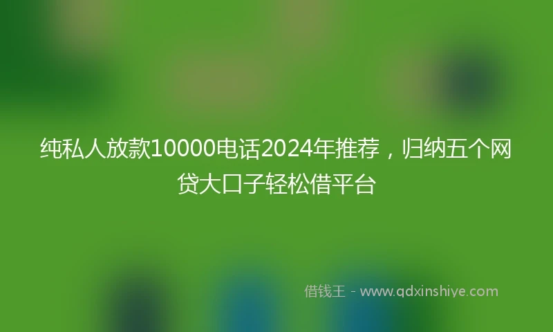 纯私人放款10000电话2024年推荐，归纳五个网贷大口子轻松借平台