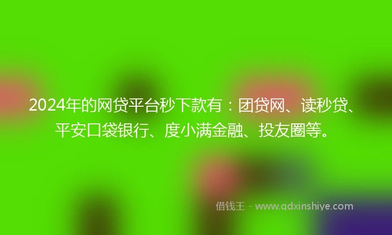 2024年的网贷平台秒下款有：团贷网、读秒贷、平安口袋银行、度小满金融、投友圈等。
