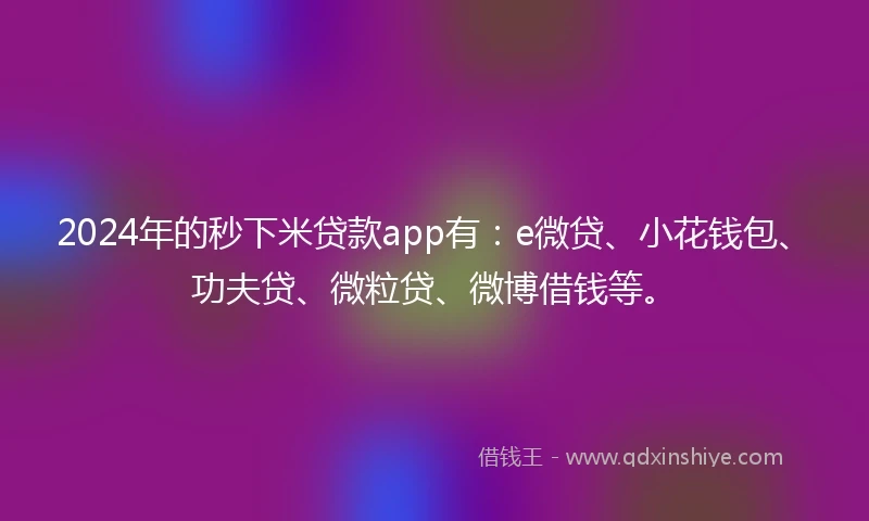 2024年的秒下米贷款app有:e微贷、小花钱包、功夫贷、微粒贷、微博借钱等。