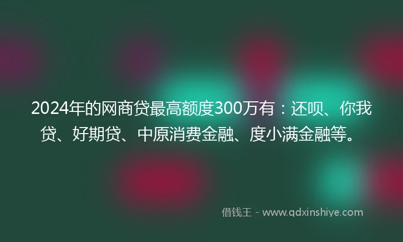 2024年的网商贷最高额度300万有：还呗、你我贷、好期贷、中原消费金融、度小满金融等。