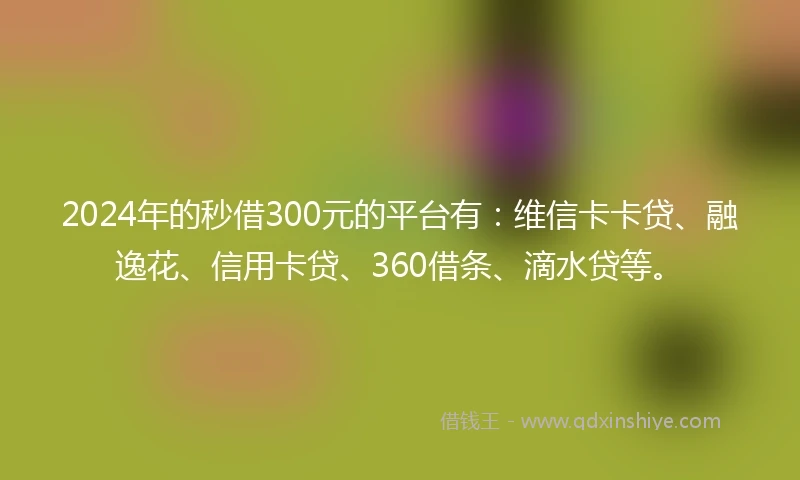 2024年的秒借300元的平台有：维信卡卡贷、融逸花、信用卡贷、360借条、滴水贷等。