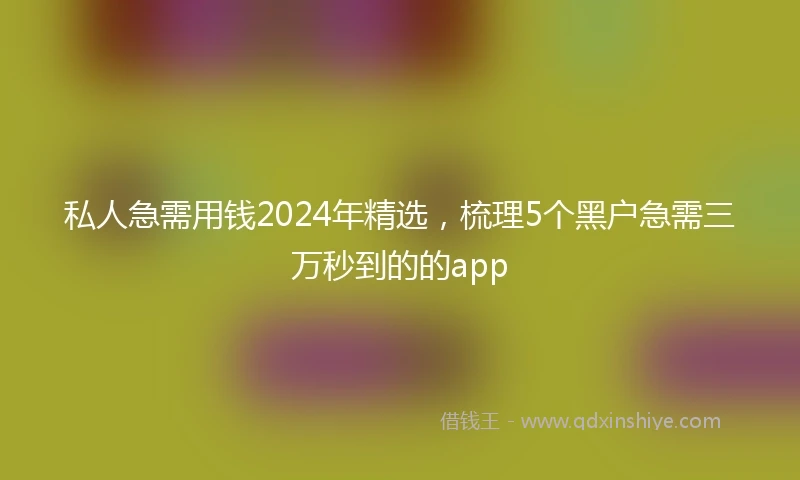 私人急需用钱2024年精选，梳理5个黑户急需三万秒到的的app