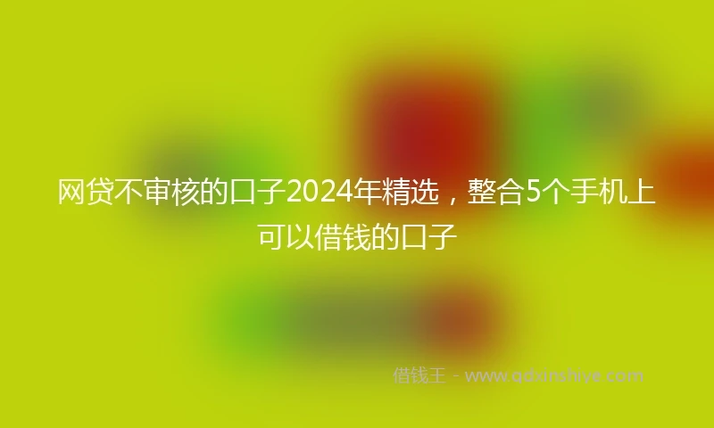 网贷不审核的口子2024年精选，整合5个手机上可以借钱的口子
