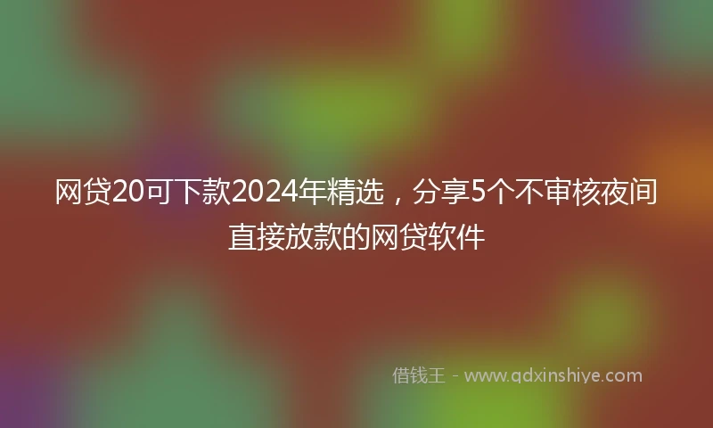 网贷20可下款2024年精选，分享5个不审核夜间直接放款的网贷软件