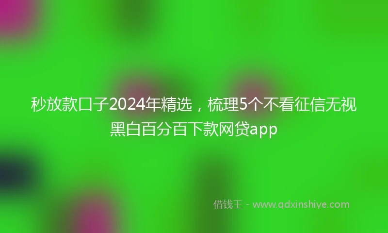 秒放款口子2024年精选，梳理5个不看征信无视黑白百分百下款网贷app