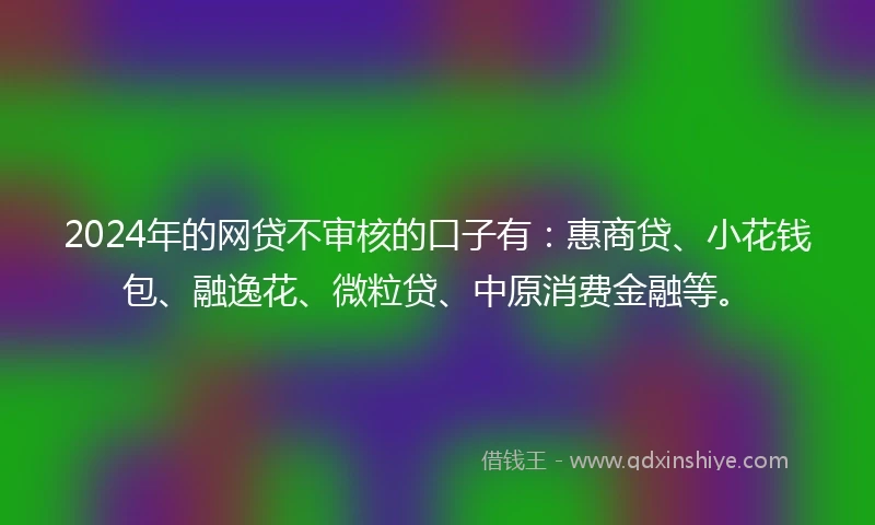 2024年的网贷不审核的口子有：惠商贷、小花钱包、融逸花、微粒贷、中原消费金融等。