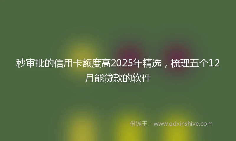 秒审批的信用卡额度高2025年精选，梳理五个12月能贷款的软件