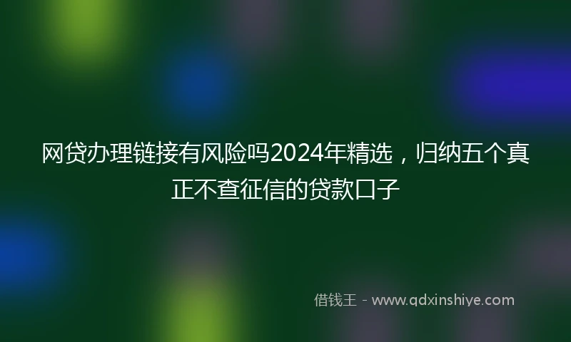 网贷办理链接有风险吗2024年精选，归纳五个真正不查征信的贷款口子