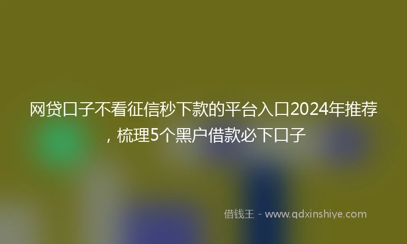网贷口子不看征信秒下款的平台入口2024年推荐，梳理5个黑户借款必下口子