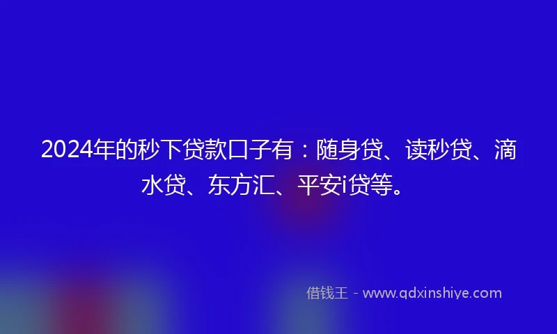 2024年的秒下贷款口子有：随身贷、读秒贷、滴水贷、东方汇、平安i贷等。