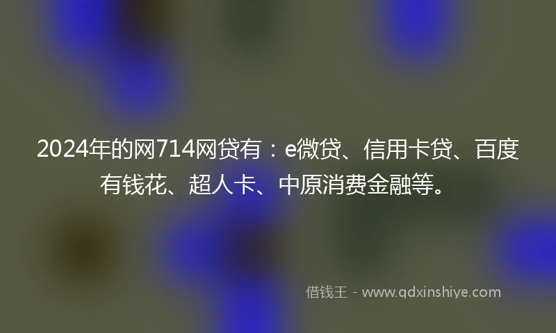2024年的网714网贷有：e微贷、信用卡贷、百度有钱花、超人卡、中原消费金融等。
