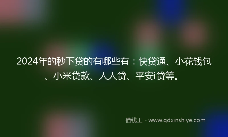 2024年的秒下贷的有哪些有：快贷通、小花钱包、小米贷款、人人贷、平安i贷等。