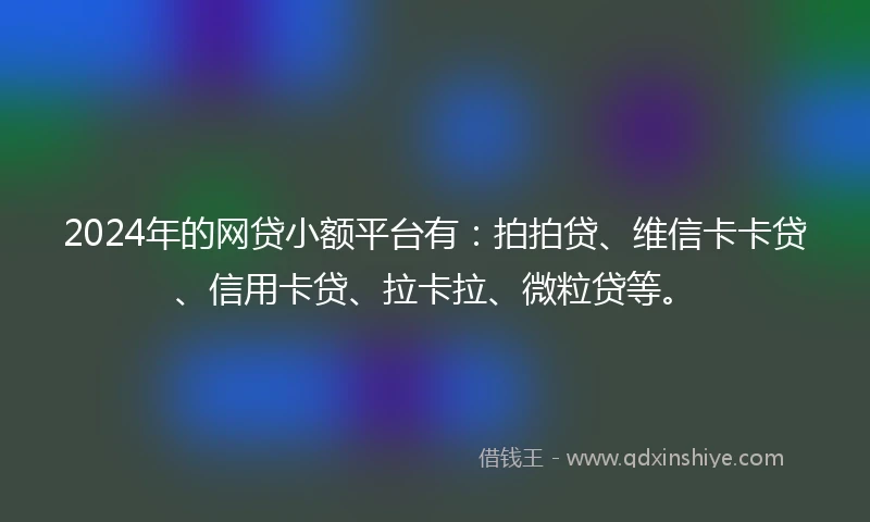 2024年的网贷小额平台有：拍拍贷、维信卡卡贷、信用卡贷、拉卡拉、微粒贷等。