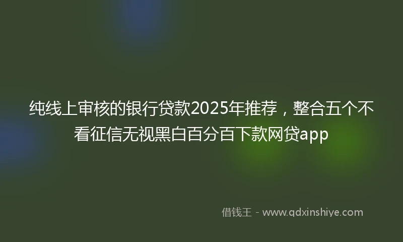 纯线上审核的银行贷款2025年推荐，整合五个不看征信无视黑白百分百下款网贷app
