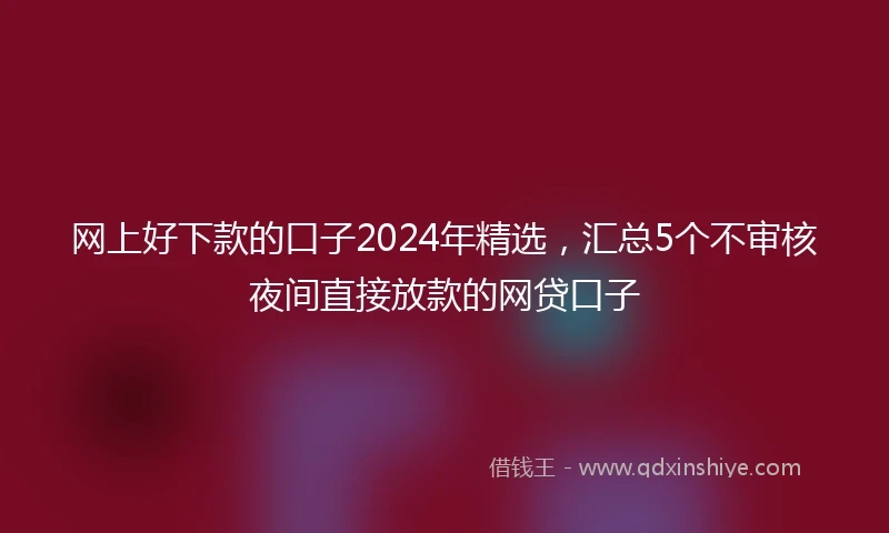 网上好下款的口子2024年精选，汇总5个不审核夜间直接放款的网贷口子