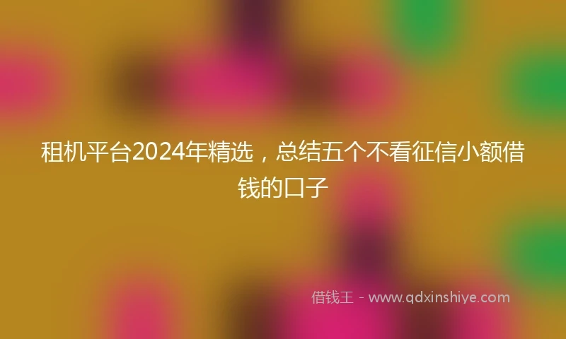 租机平台2024年精选，总结五个不看征信小额借钱的口子