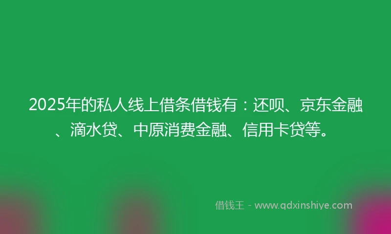 2025年的私人线上借条借钱有：还呗、京东金融、滴水贷、中原消费金融、信用卡贷等。