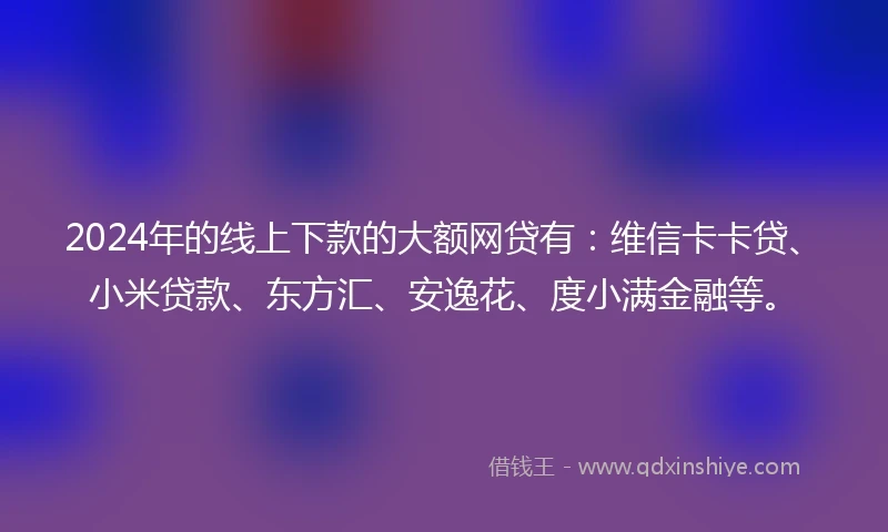 2024年的线上下款的大额网贷有：维信卡卡贷、小米贷款、东方汇、安逸花、度小满金融等。