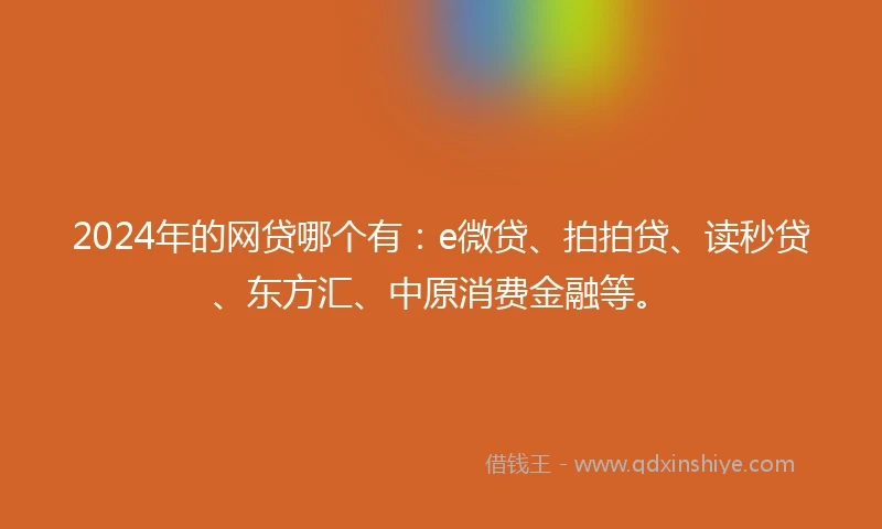2024年的网贷哪个有：e微贷、拍拍贷、读秒贷、东方汇、中原消费金融等。