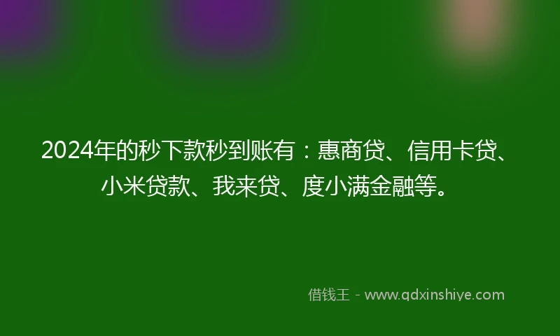 2024年的秒下款秒到账有：惠商贷、信用卡贷、小米贷款、我来贷、度小满金融等。