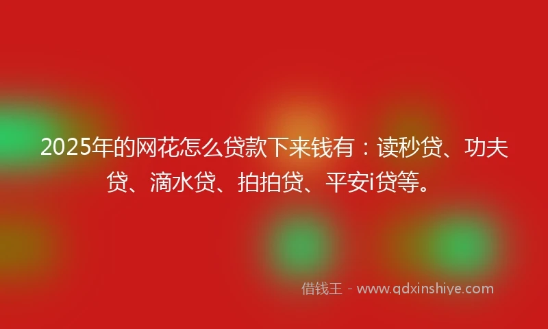 2025年的网花怎么贷款下来钱有：读秒贷、功夫贷、滴水贷、拍拍贷、平安i贷等。