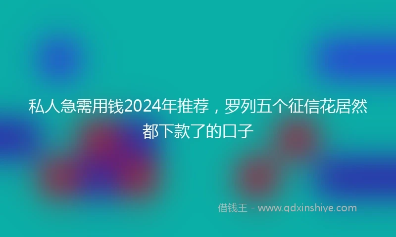 私人急需用钱2024年推荐，罗列五个征信花居然都下款了的口子