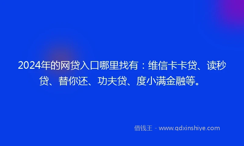 2024年的网贷入口哪里找有：维信卡卡贷、读秒贷、替你还、功夫贷、度小满金融等。