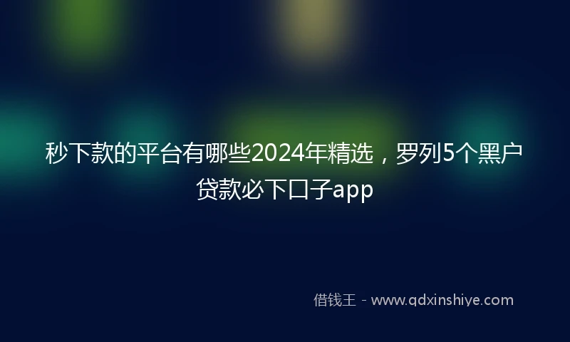 秒下款的平台有哪些2024年精选，罗列5个黑户贷款必下口子app