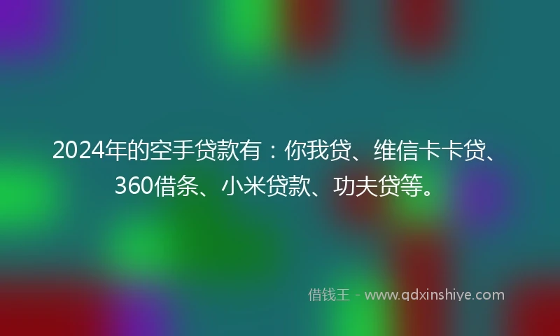 2024年的空手贷款有：你我贷、维信卡卡贷、360借条、小米贷款、功夫贷等。
