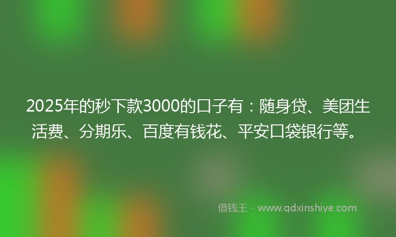 2025年的秒下款3000的口子有：随身贷、美团生活费、分期乐、百度有钱花、平安口袋银行等。