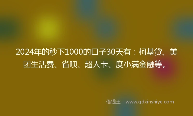 2024年的秒下1000的口子30天有：柯基贷、美团生活费、省呗、超人卡、度小满金融等。