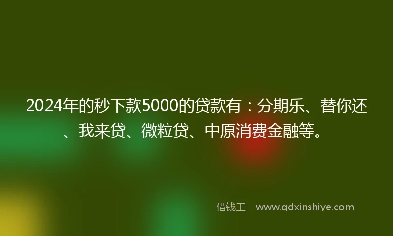 2024年的秒下款5000的贷款有：分期乐、替你还、我来贷、微粒贷、中原消费金融等。