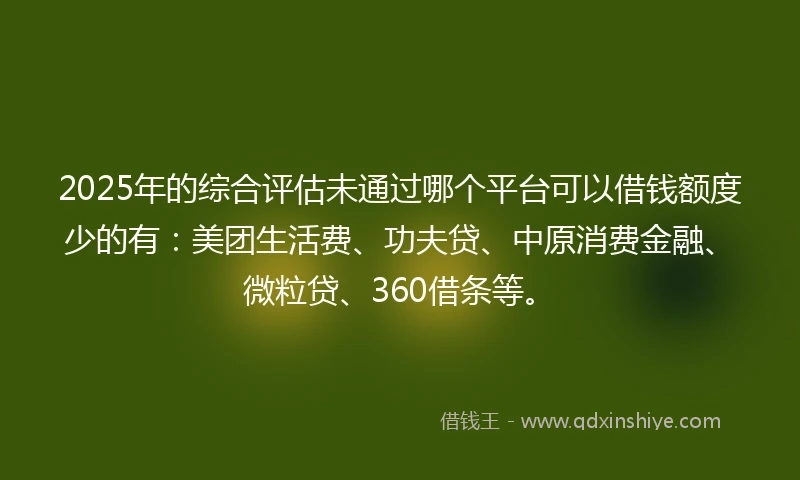 2025年的综合评估未通过哪个平台可以借钱额度少的有：美团生活费、功夫贷、中原消费金融、微粒贷、360借条等。