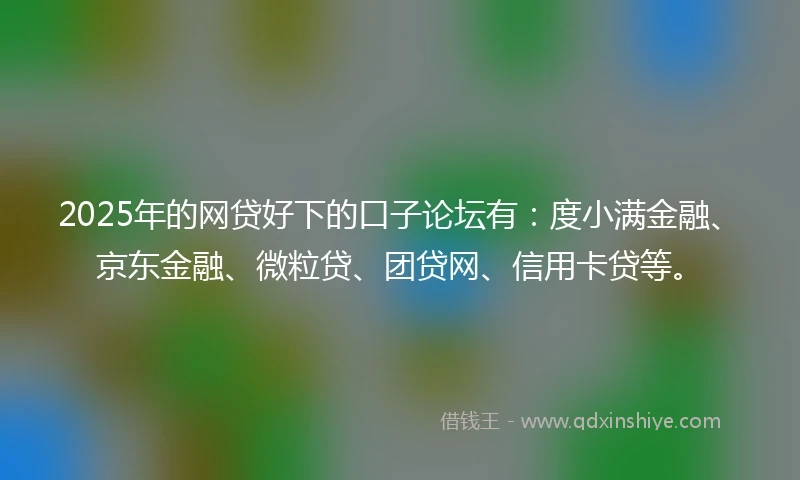 2025年的网贷好下的口子论坛有：度小满金融、京东金融、微粒贷、团贷网、信用卡贷等。
