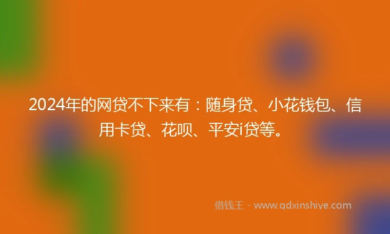 2024年的网贷不下来有：随身贷、小花钱包、信用卡贷、花呗、平安i贷等。