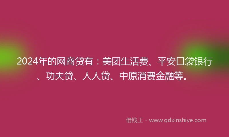 2024年的网商贷有：美团生活费、平安口袋银行、功夫贷、人人贷、中原消费金融等。