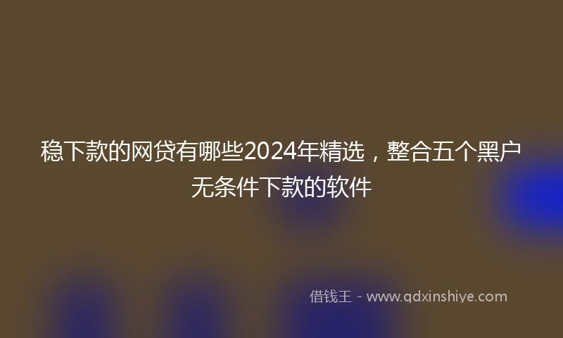稳下款的网贷有哪些2024年精选，整合五个黑户无条件下款的软件