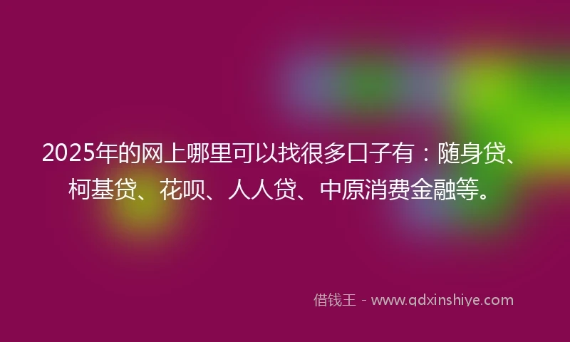 2025年的网上哪里可以找很多口子有：随身贷、柯基贷、花呗、人人贷、中原消费金融等。